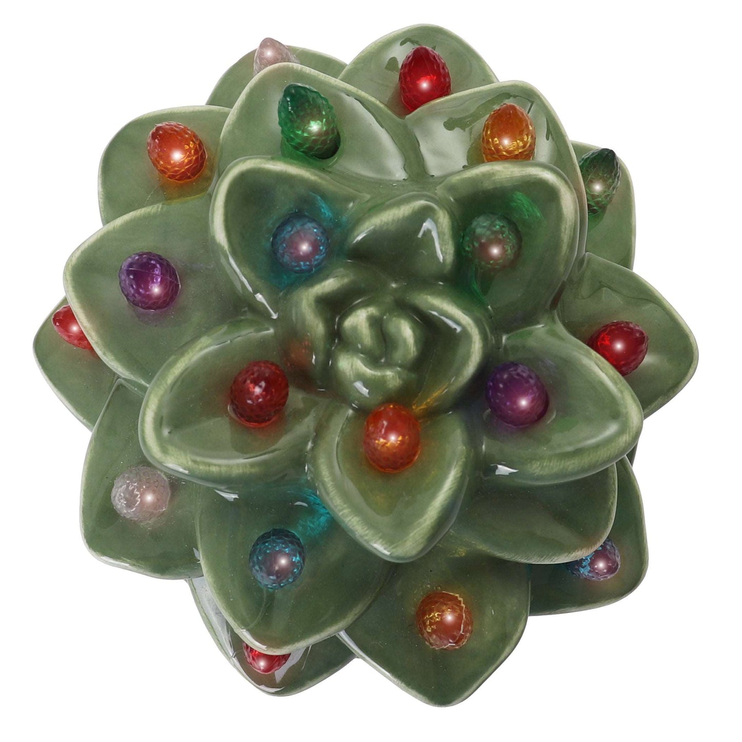 Echeveria Succulent with Multicolored Lights