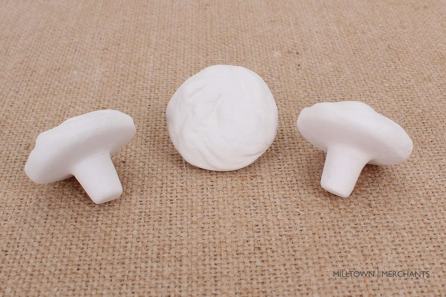 Frag Plugs - Textured Reef Plugs for Frag Rock Station - 20 Plugs