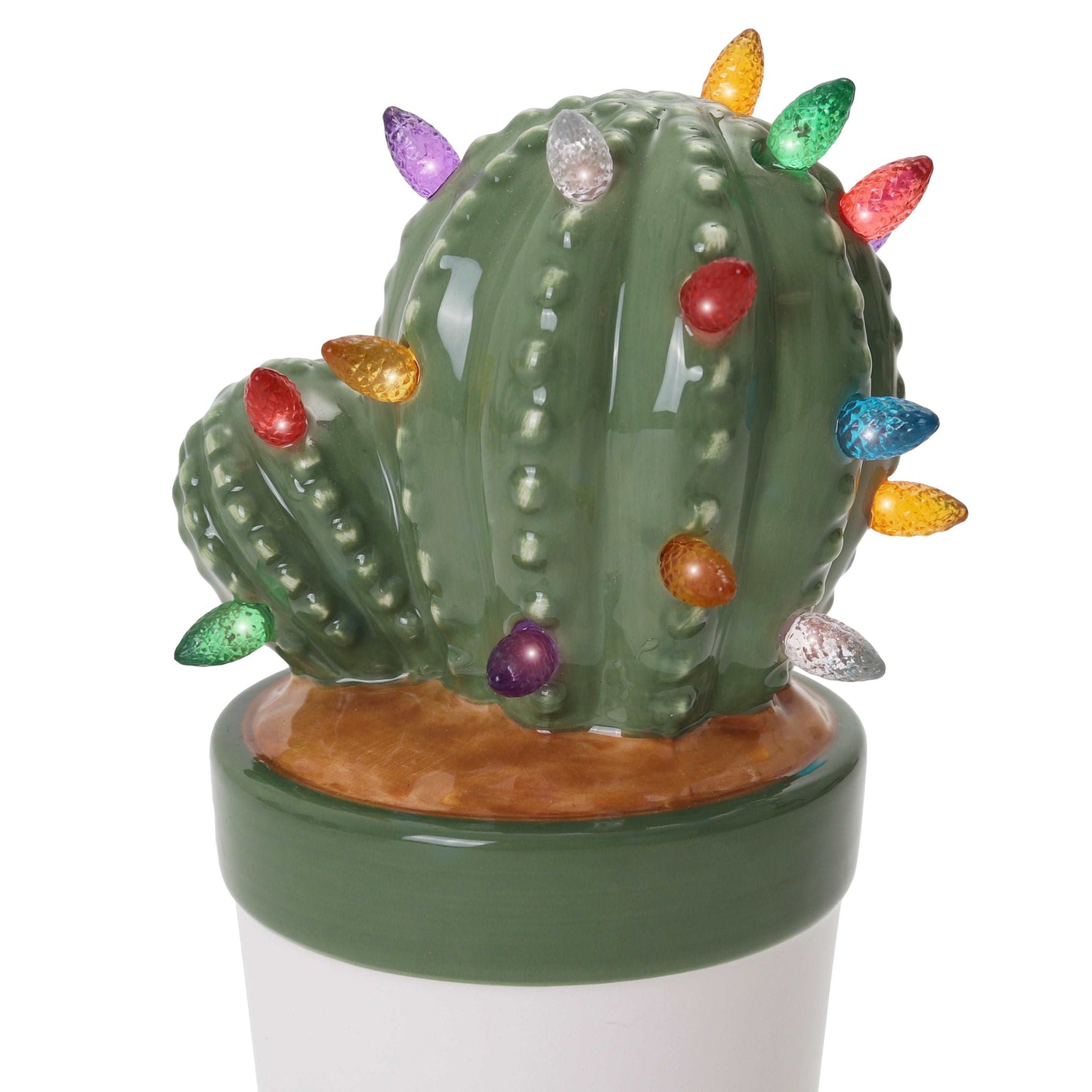 Cactus Succulent with Multicolored Lights
