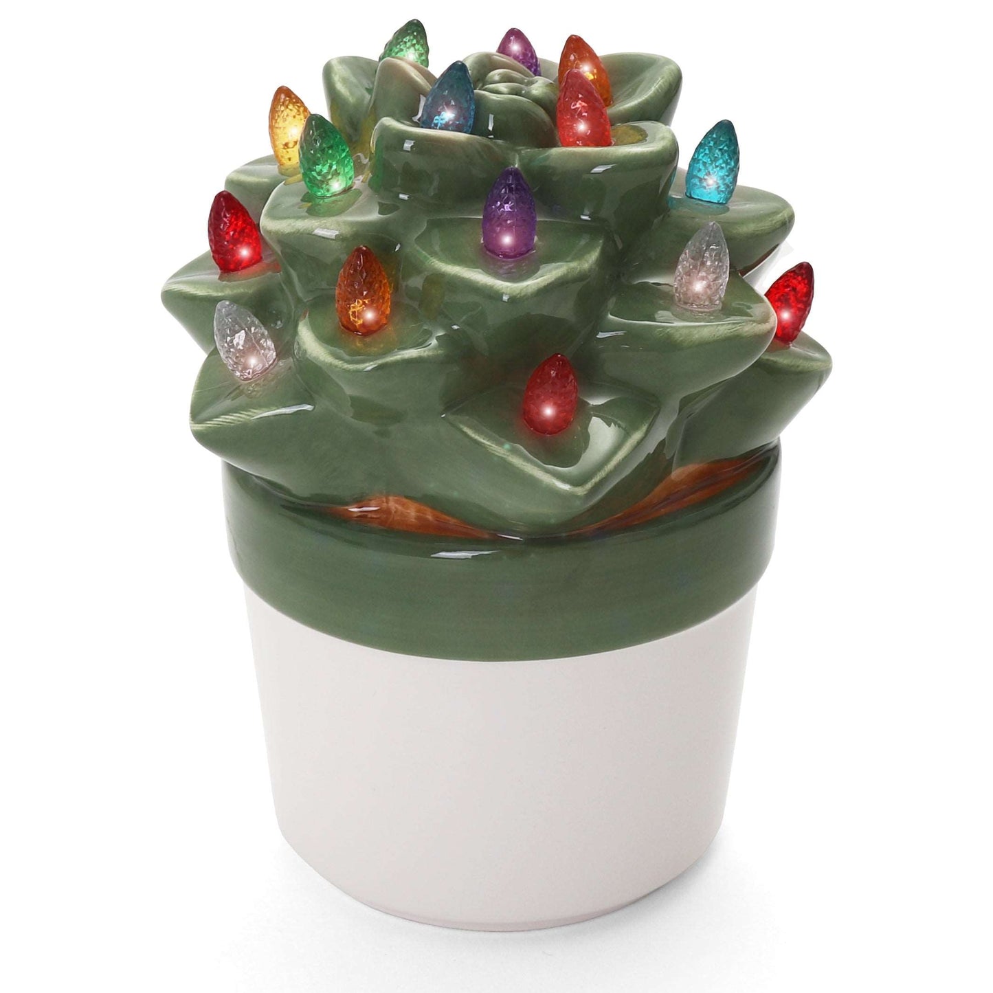 Echeveria Succulent with Multicolored Lights