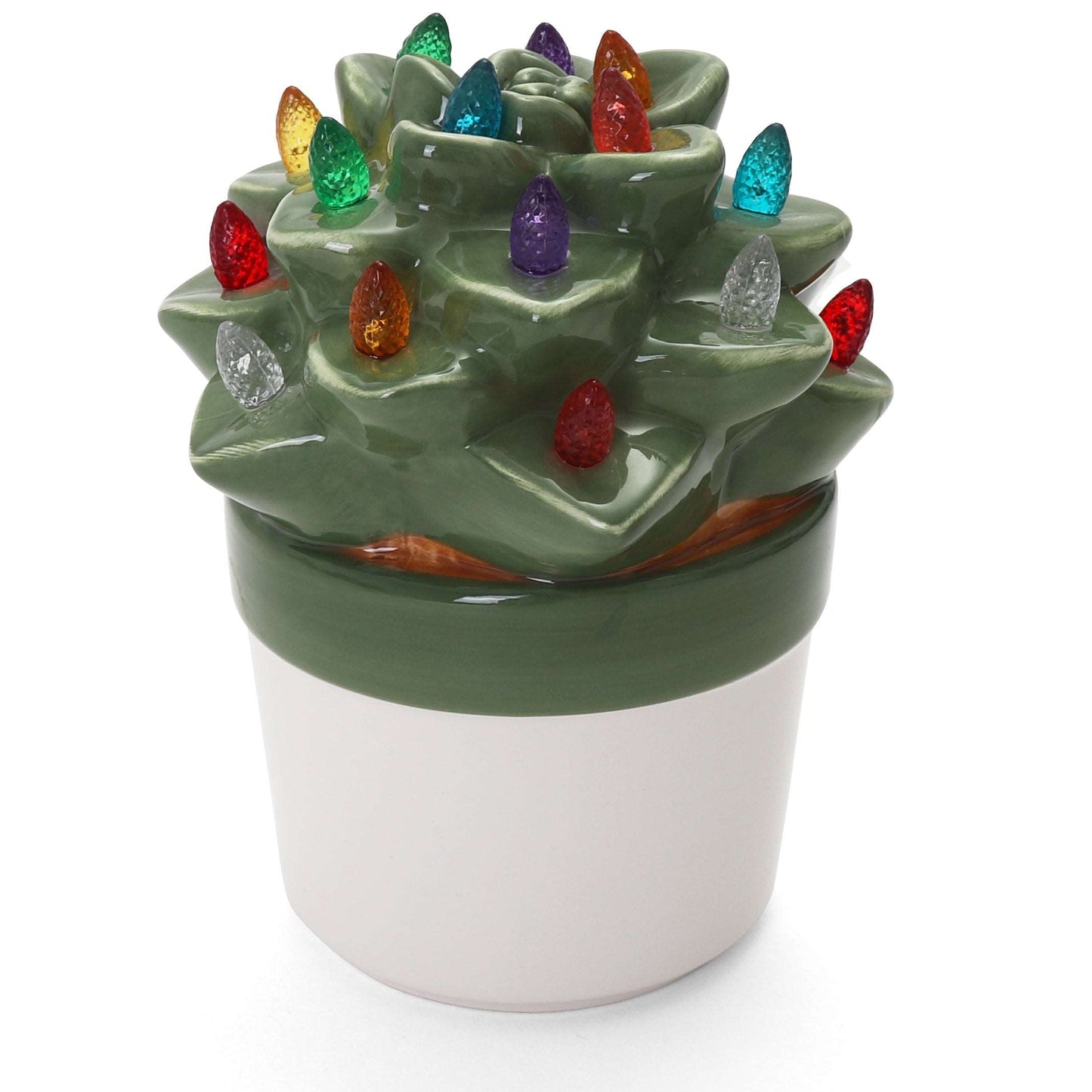 Echeveria Succulent with Multicolored Lights