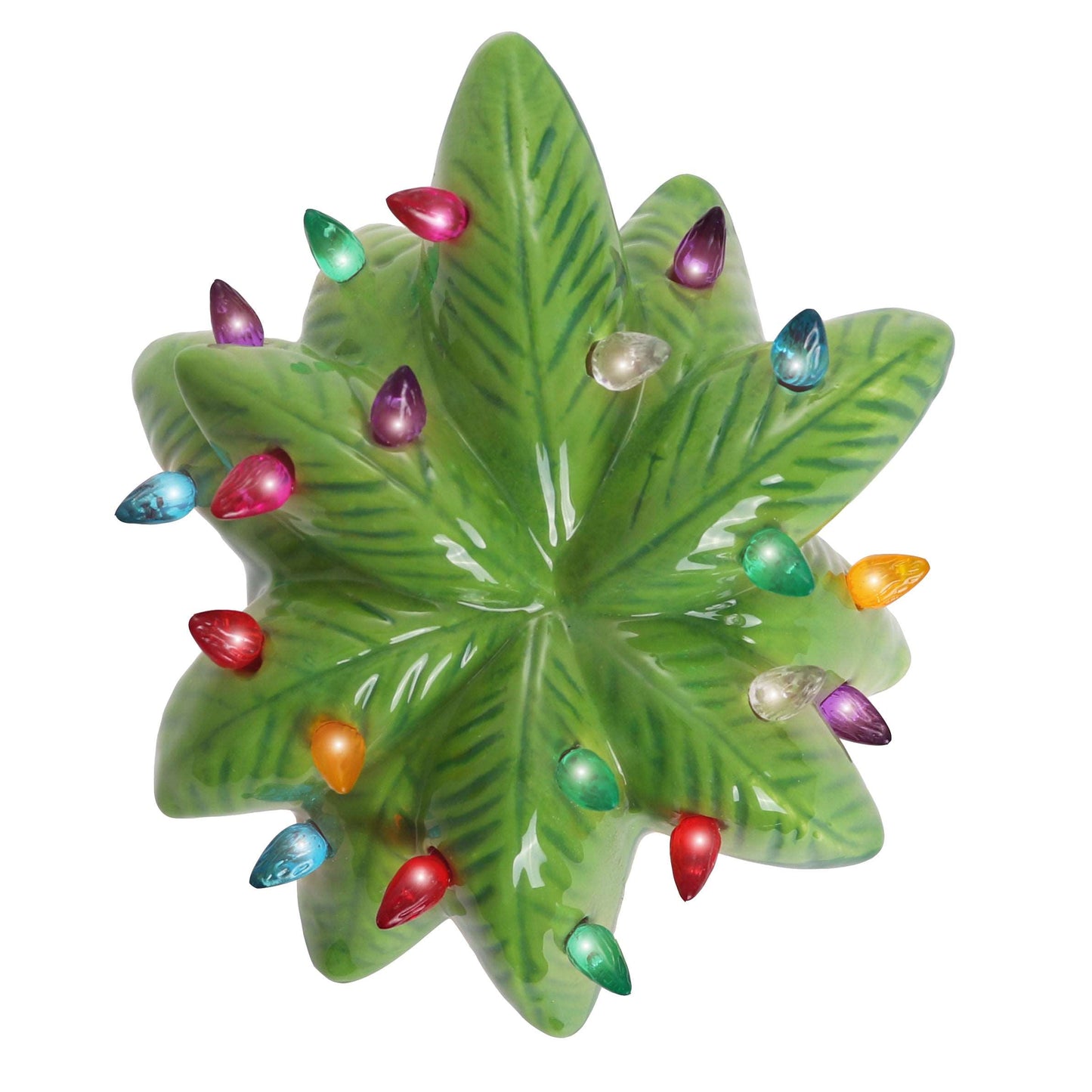 Palm Tree with Multicolored Lights