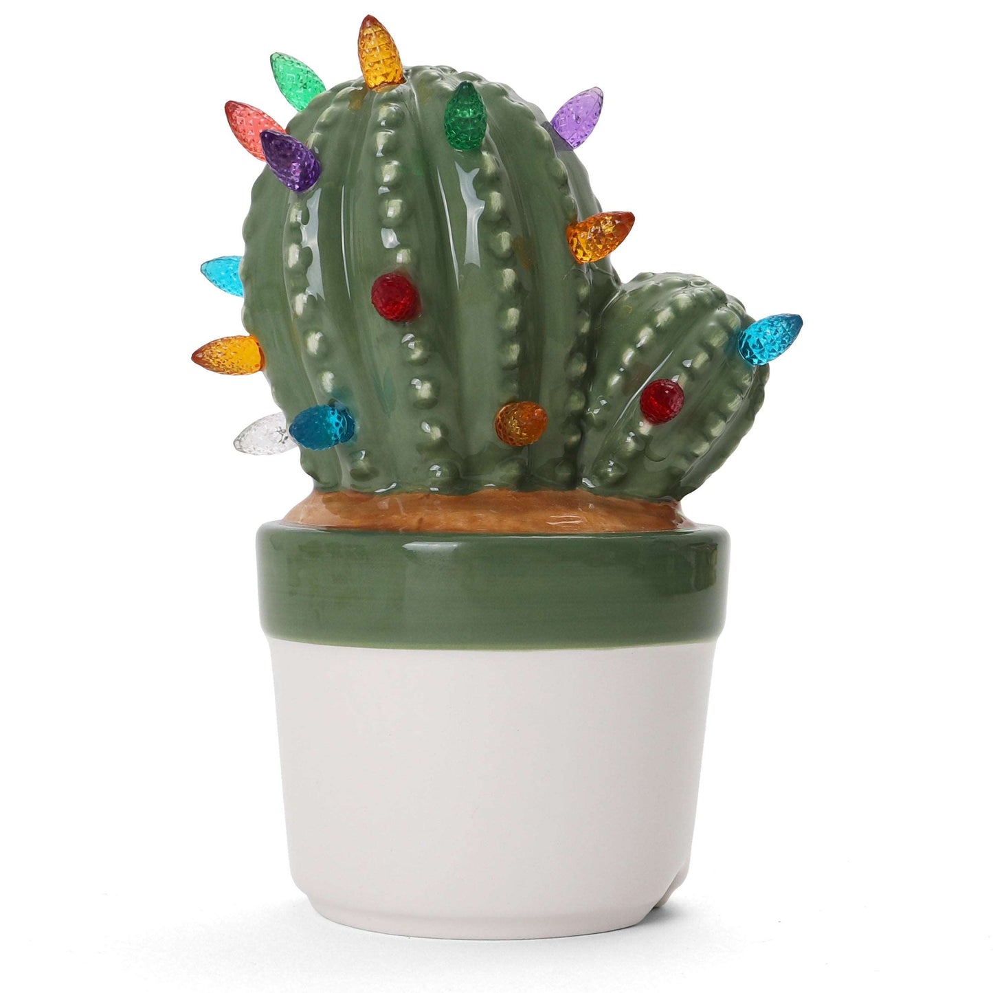 Cactus Succulent with Multicolored Lights