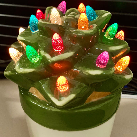 Ceramic Christmas Aloe Succulent with Lights