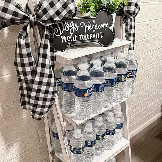 Milltown Merchants Ladder Bookshelf - White