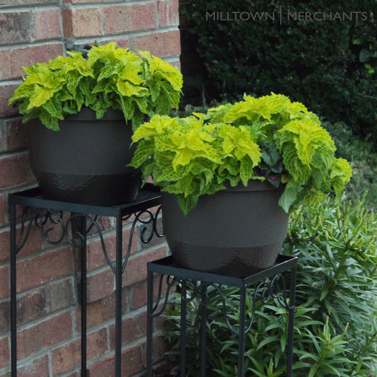 Stand Set (1 Small, 1 Medium, 1 Large)