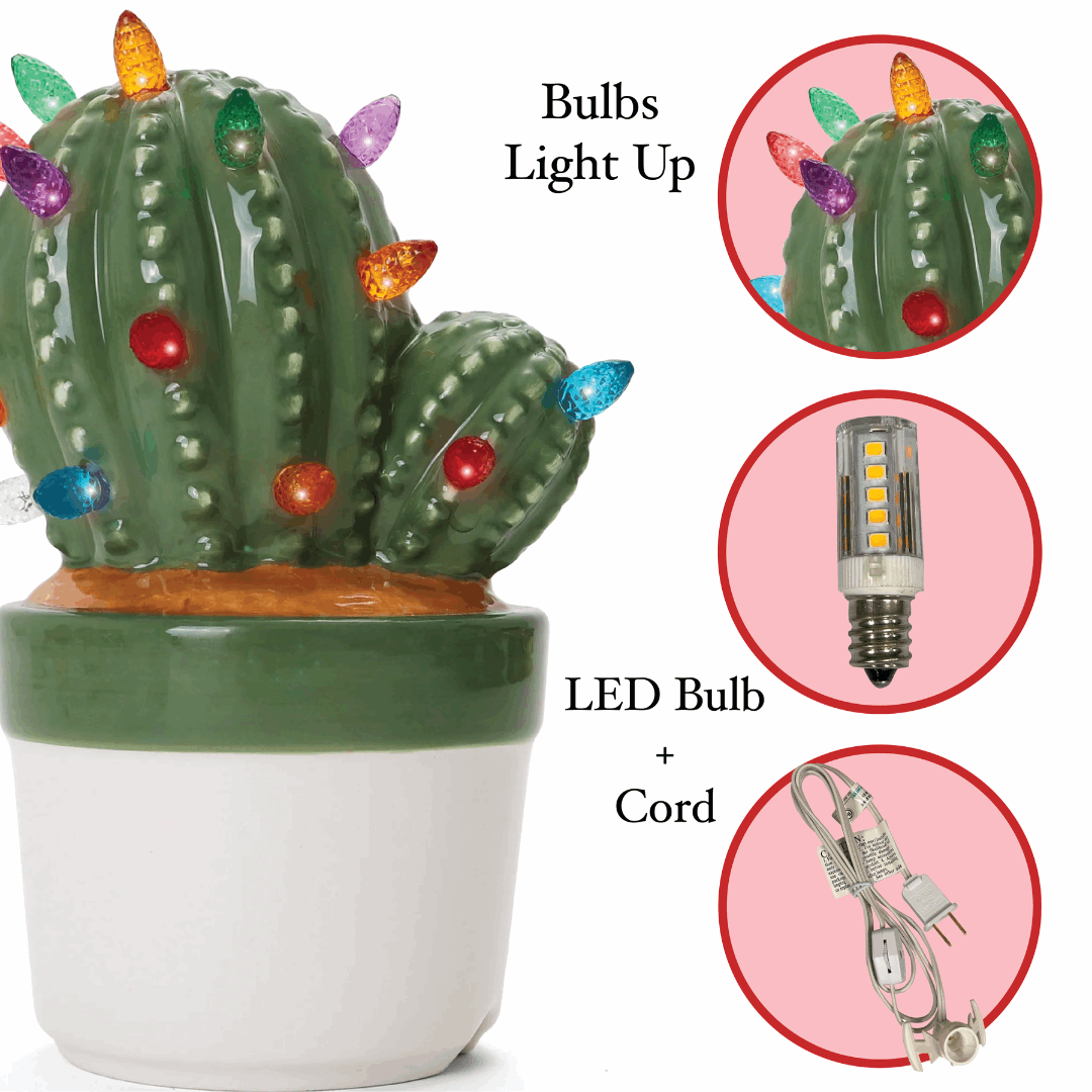 Cactus Succulent with Multicolored Lights