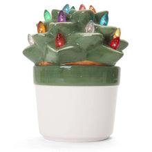 Load image into Gallery viewer, Echeveria Succulent with Multicolored Lights
