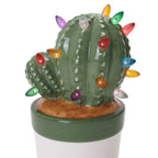 Cactus Succulent with Multicolored Lights