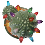 Cactus Succulent with Multicolored Lights
