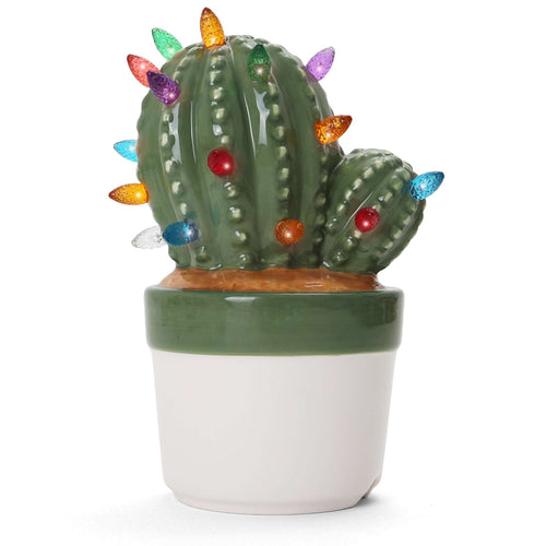 Cactus Succulent with Multicolored Lights
