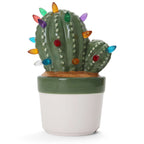 Cactus Succulent with Multicolored Lights