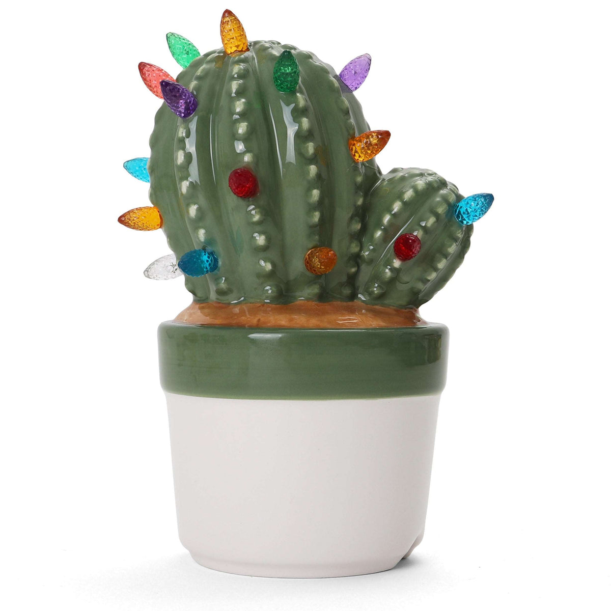 Cactus Succulent with Multicolored Lights