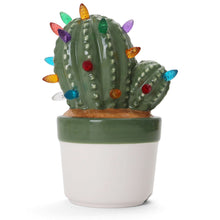 Load image into Gallery viewer, Cactus Succulent with Multicolored Lights
