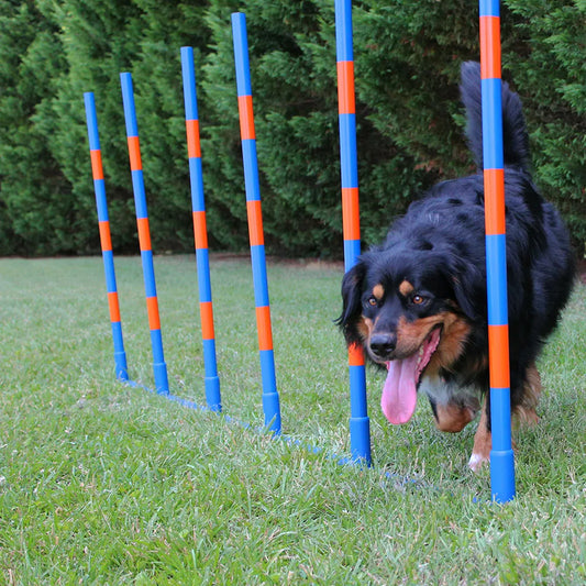 Dog Agility Weave Set