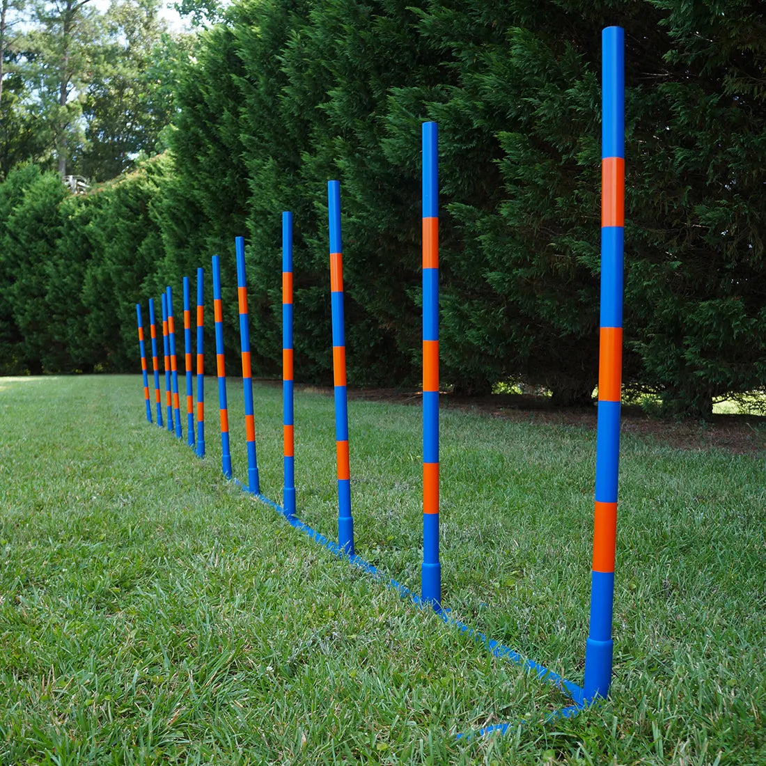 Dog Agility Weave Set