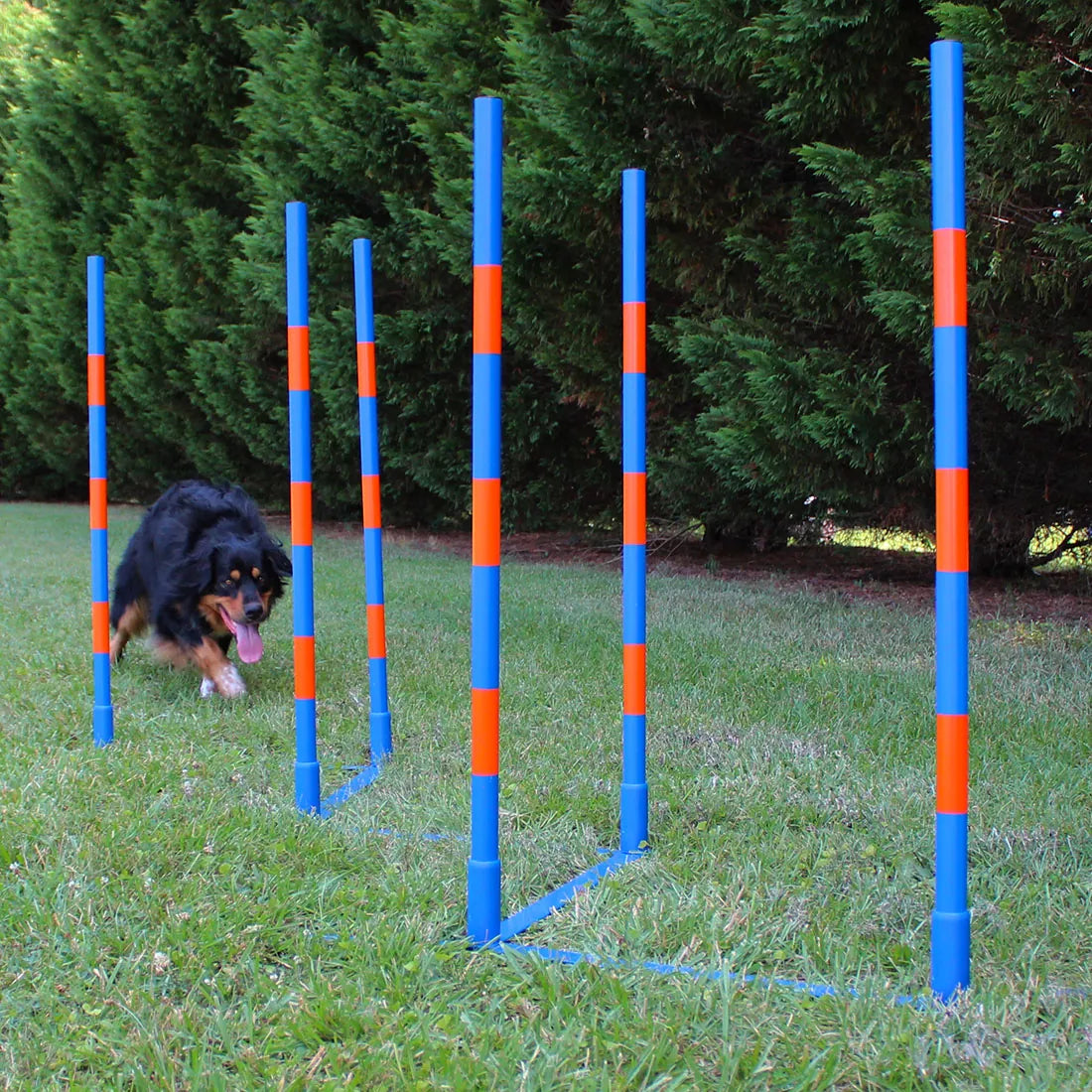 Dog Agility Weave Set