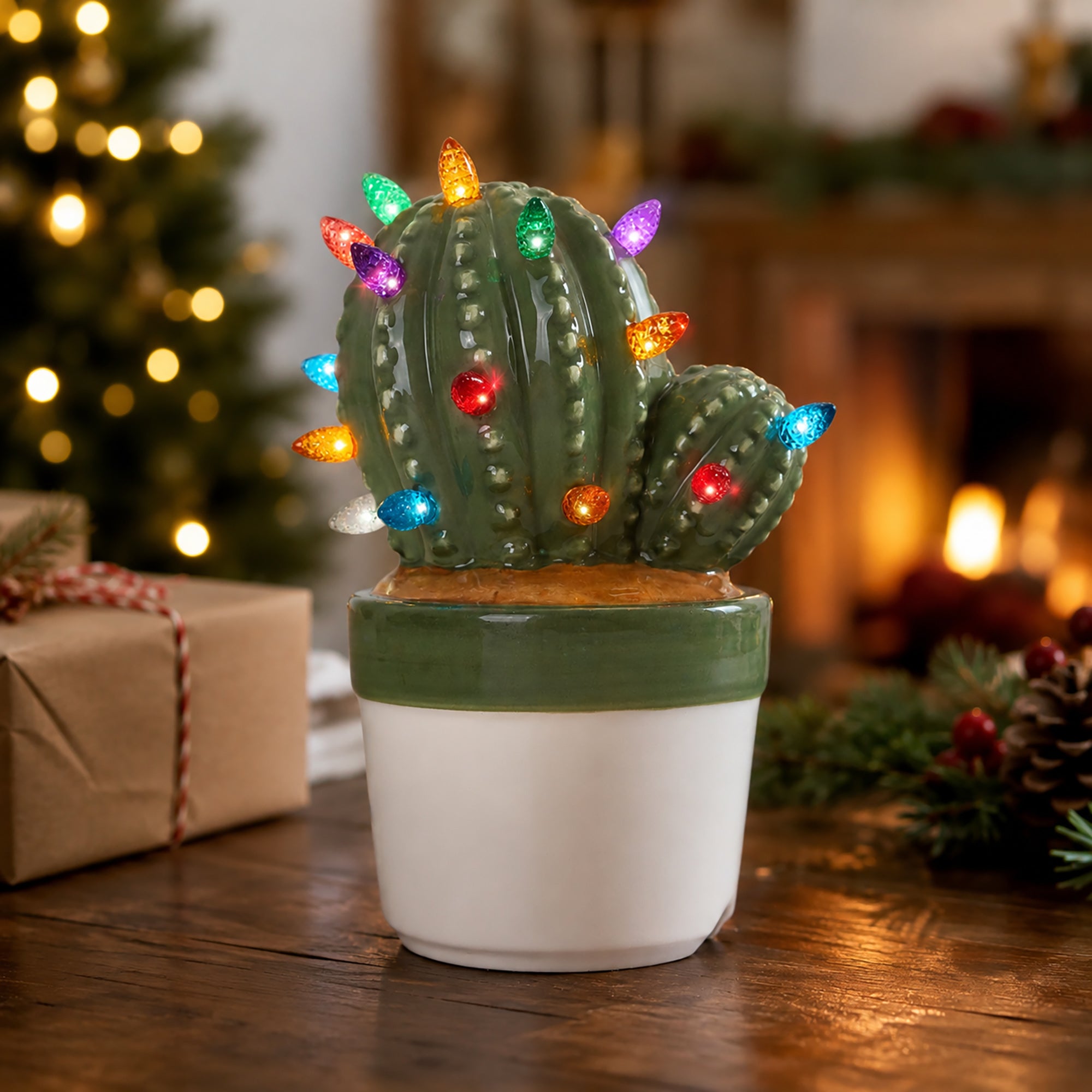 Cactus Succulent with Multicolored Lights