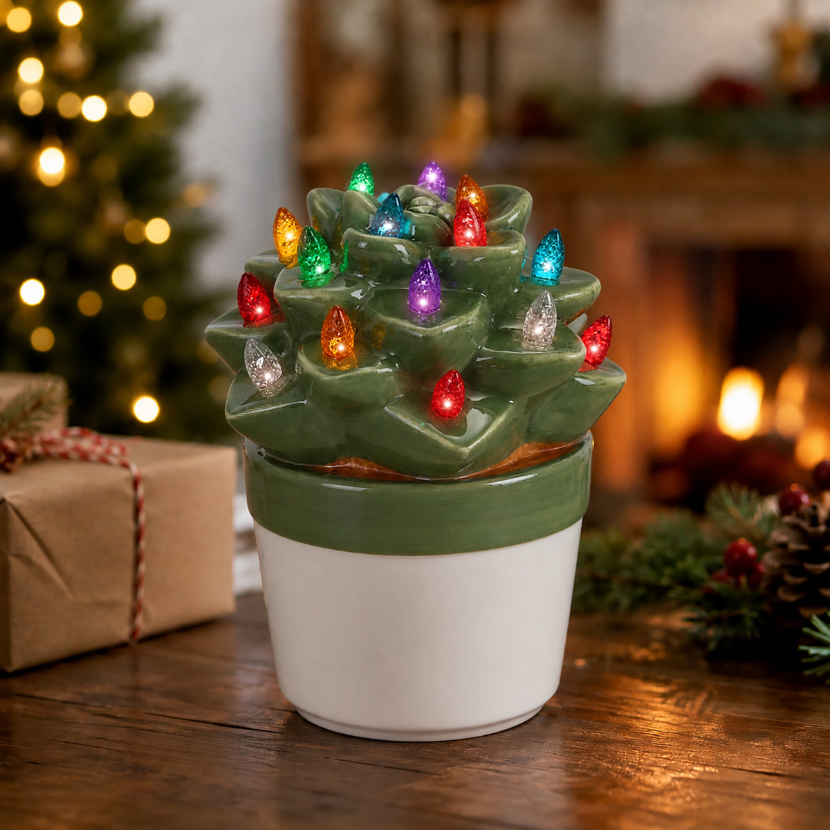 Echeveria Succulent with Multicolored Lights