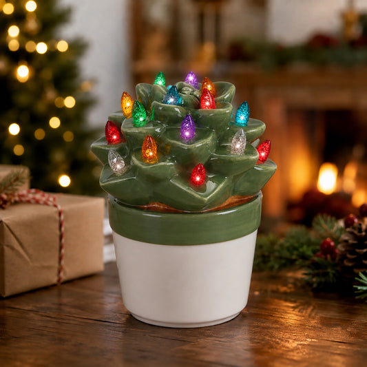 Echeveria Succulent with Multicolored Lights