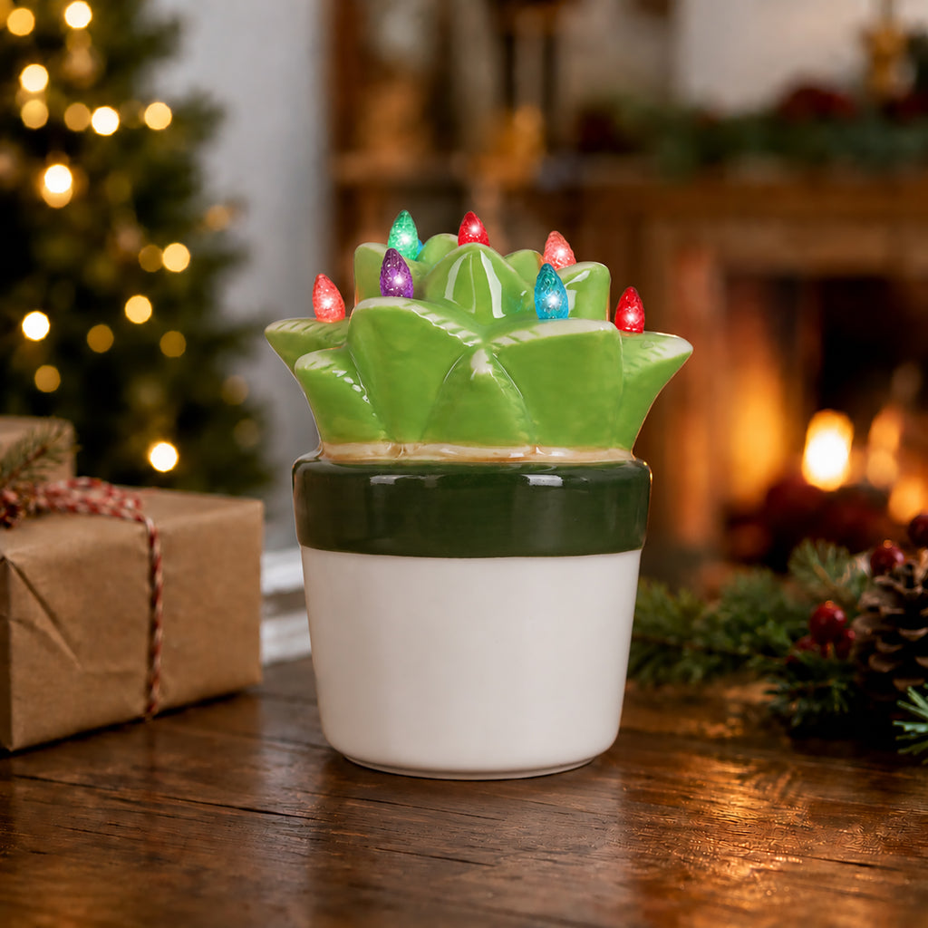 Lighted Ceramic Aloe Succulent