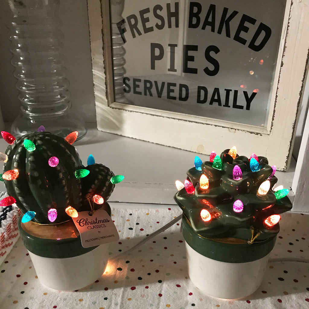 Lighted Ceramic Cactus Succulent