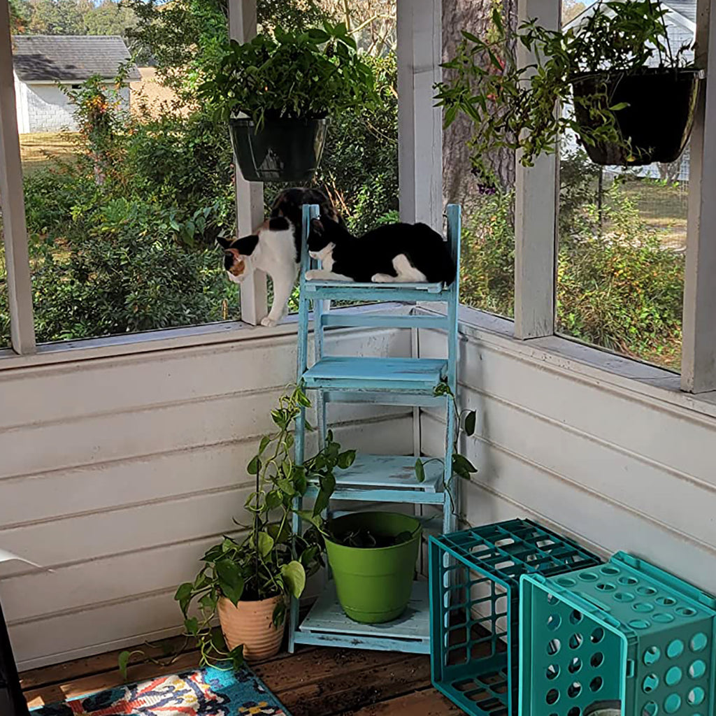 45.5" Turquoise 4-Tier Ladder Shelf