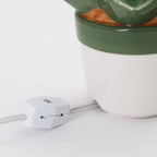 Lighted Ceramic Christmas Cactus Ball