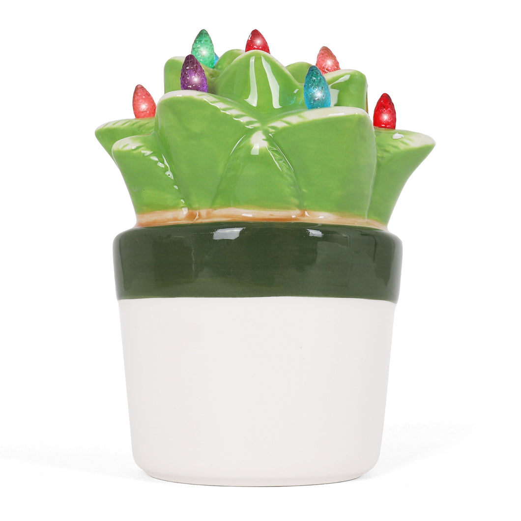 Ceramic Christmas Aloe Succulent with Lights